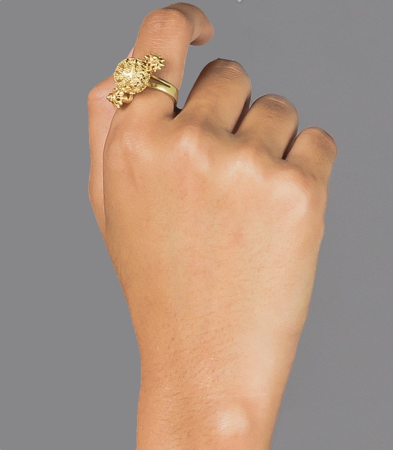 AMAMI Tambourine Ring on a hand